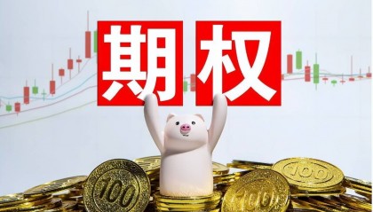 个股期权和股票期权的区别有啥区别?