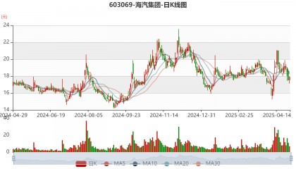 海汽集团:2024年亏损9769.62万元