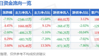 丹化科技(600844)12月17日主力资金净卖出2346.13万元