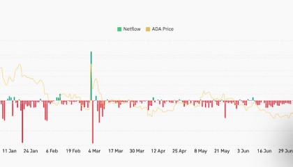 艾达币交易所投资(艾达币交易中国有吗)