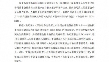 隆基也成黄埔军校了?美畅股份补选90后董事,曾任职隆基