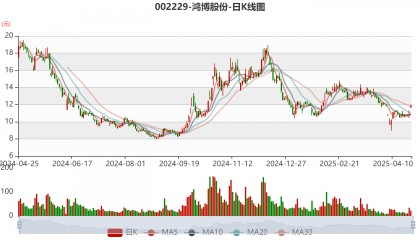 鸿博股份:2024年亏损2.93亿元