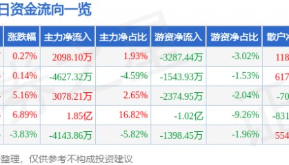 股票行情快报:东百集团(600693)3月13日主力资金净买入2098.10万元