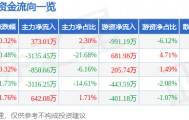 股票行情快报:大众交通(600611)8月13日主力资金净买入373.01万元