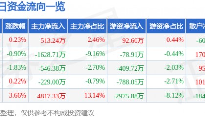 股票行情快报:方直科技(300235)8月22日主力资金净买入513.24万元