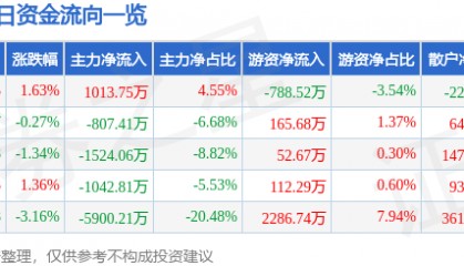 股票行情快报:陕国投A(000563)12月27日主力资金净买入1013.75万元