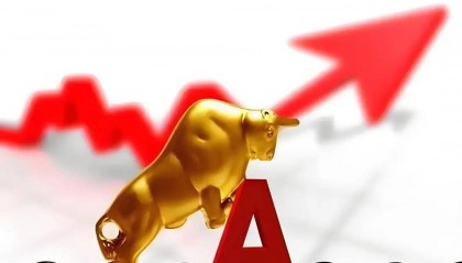 国内细胞健康产业有哪些股票?