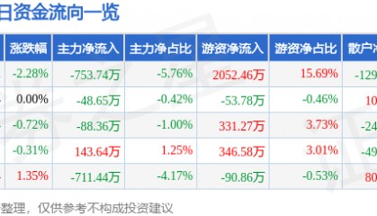 股票行情快报:金杯电工(002533)2月13日主力资金净卖出753.74万元