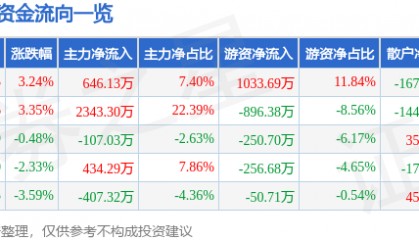 股票行情快报:赤天化(600227)5月6日主力资金净买入646.13万元