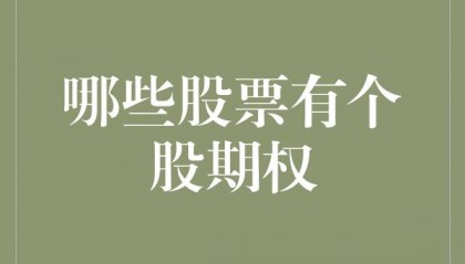 国内个股期权有哪些股票?