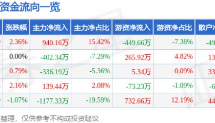 股票行情快报:ST银江(300020)9月10日主力资金净买入940.16万元