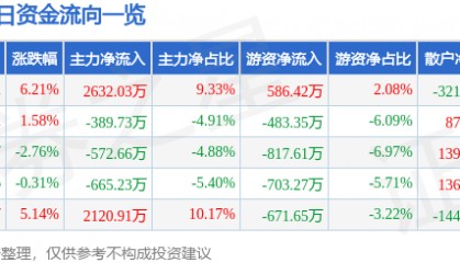 丹化科技(600844)12月6日主力资金净买入2632.03万元