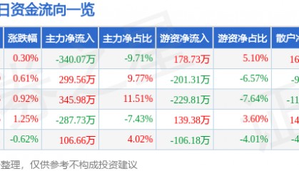 股票行情快报：胜利股份（000407）3月13日主力资金净卖出340.07万元