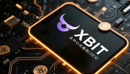 比特现金交易所投资(比特现金的创始人是谁)