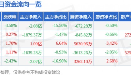 股票行情快报：双林股份（300100）6月13日主力资金净卖出2.08亿元