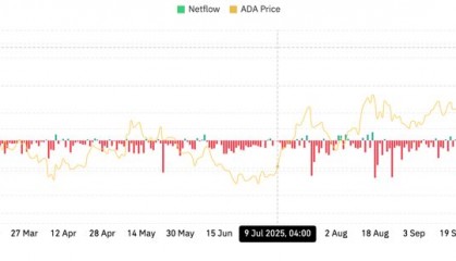 ADA-艾达币交易所投资的简单介绍
