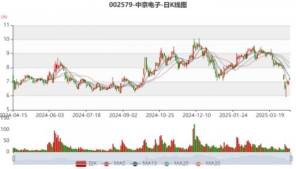中京电子:2024年亏损8247.13万元
