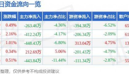 股票行情快报:桂林旅游(000978)10月22日主力资金净卖出263.46万元