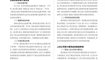 上市公司规则对构建国独公司审计委员会的启示