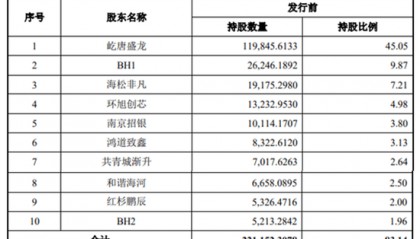 半导体龙头来了!中签率可能较高