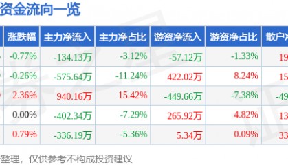 股票行情快报:ST银江(300020)9月12日主力资金净卖出134.13万元
