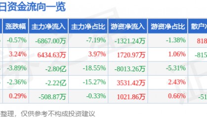 股票行情快报：双林股份（300100）6月4日主力资金净卖出6867.00万元