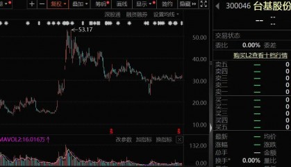 隆盛策略股票杠杆功率半导体龙头,资产超2500亿元的国资入主