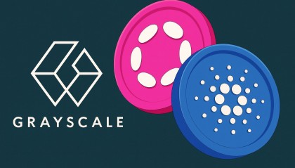 DOT交易所投资(doxexchange交易所)