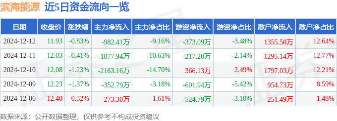 股票行情快报：滨海能源（000695）12月12日主力资金净卖出982.41万元