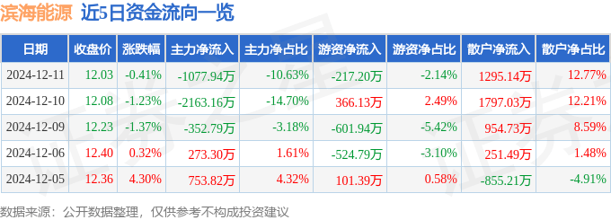 股票行情快报：滨海能源（000695）12月11日主力资金净卖出1077.94万元