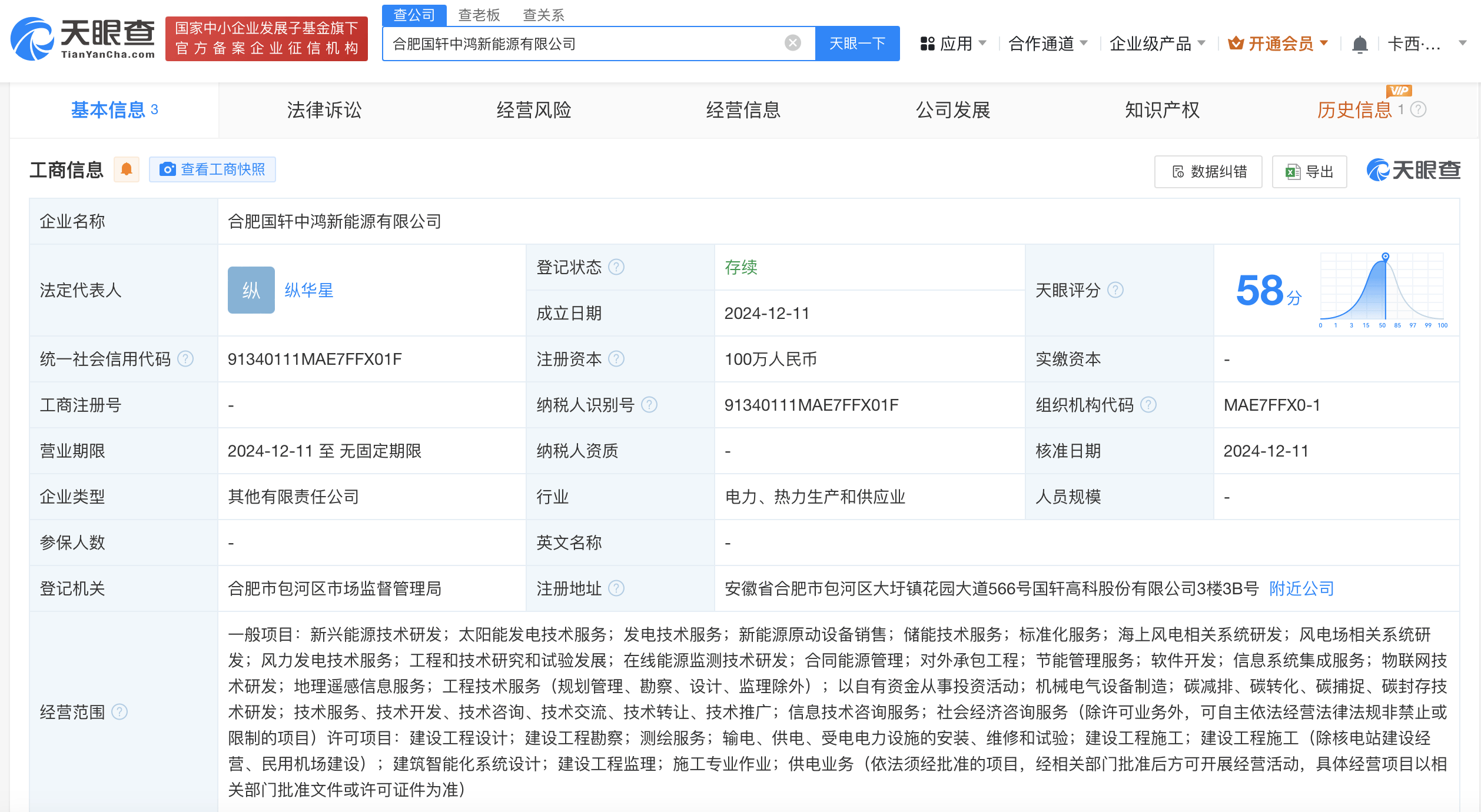 国轩高科等在合肥成立新公司