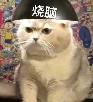 半导体起飞，新龙头已经开始蓄力！