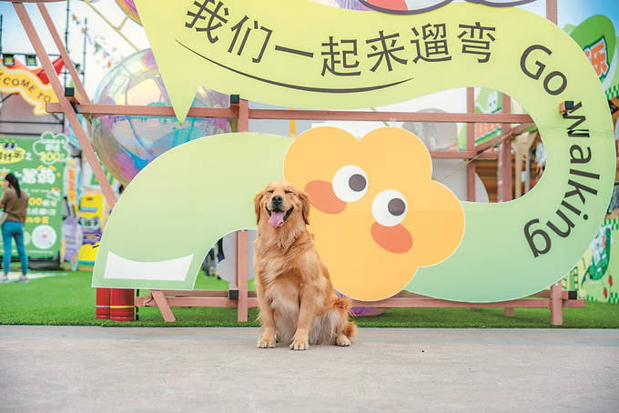 从“情感经济”到“新兴产业” 江苏“TA”里淘金