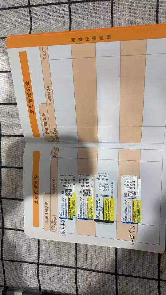 江苏一法院拍卖一只狸花猫，为主人抵债！