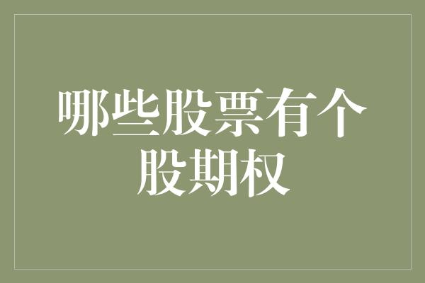 国内个股期权有哪些股票?
