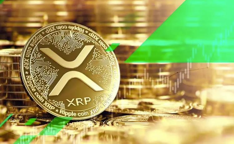 XRP交易所交易平台(xrp capital)