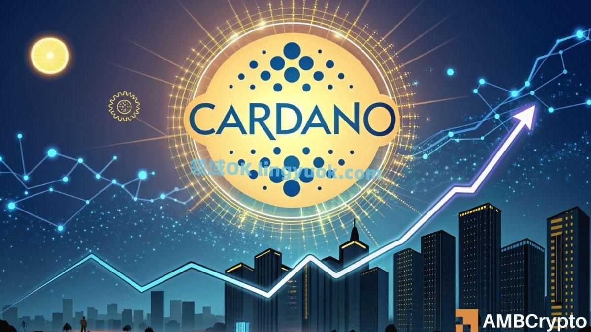 艾达币交易APP下载(艾达币交易app下载安装)