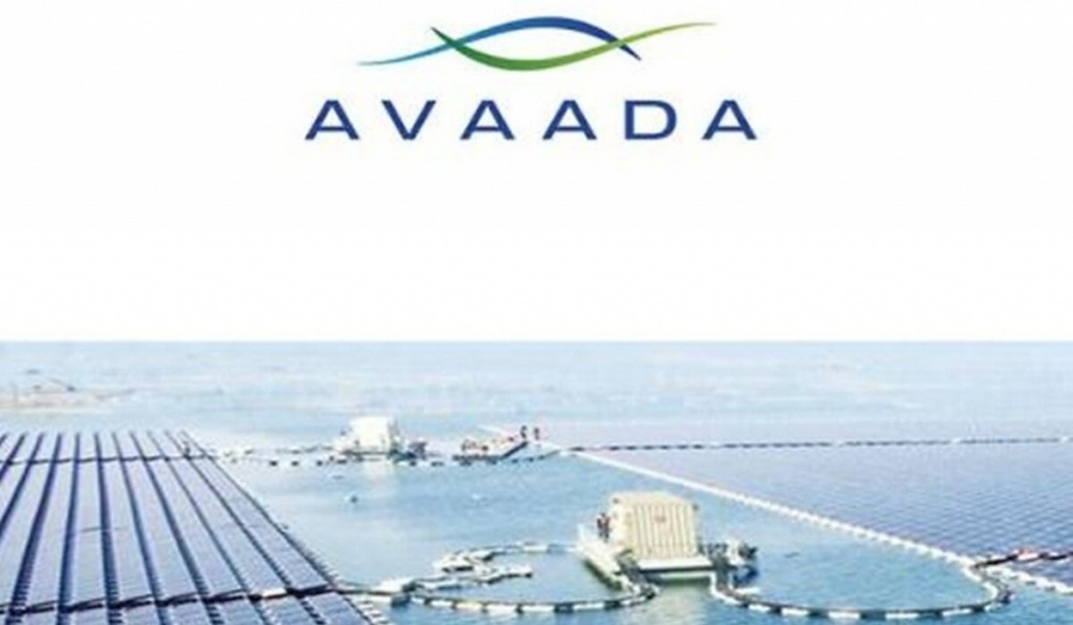 包含ADA-艾达币交易所投资的词条